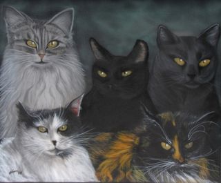 Wendy and Sku's Cats