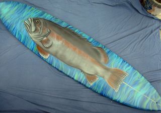 Ross's Surfboard