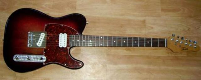 Bill Ward's brand new Fomi Telemaster