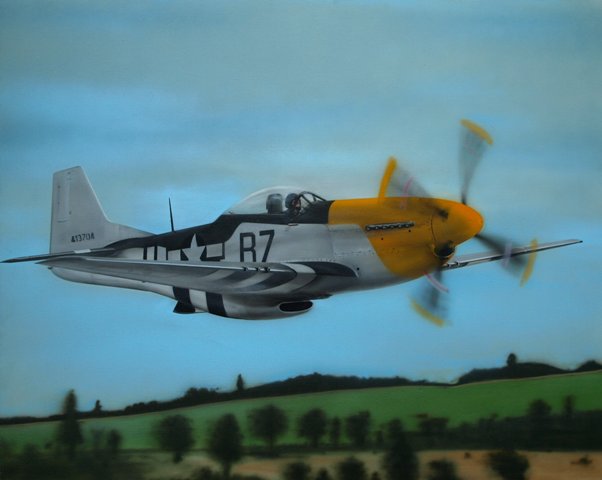 P51 Mustang low level